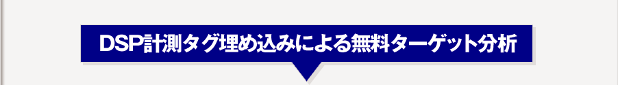 DSP計測タグ埋め込みによる無料ターゲット分析